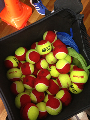 Sports Balls in Melbourne, Whitehorse, Manningham, Templestowe, Doncaster East, Balwyn North Box Hill, Rowville and Vermont South