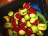 Sports Ball in Melbourne, Whitehorse, Manningham, Templestowe, Doncaster East, Balwyn North Box Hill, Rowville and Vermont South